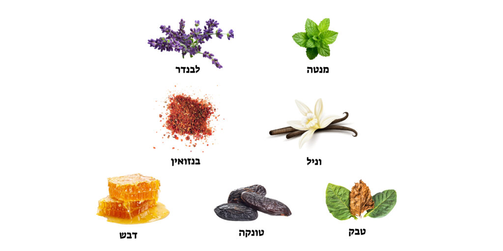 דוגמא לפרמידת ריחות בושם