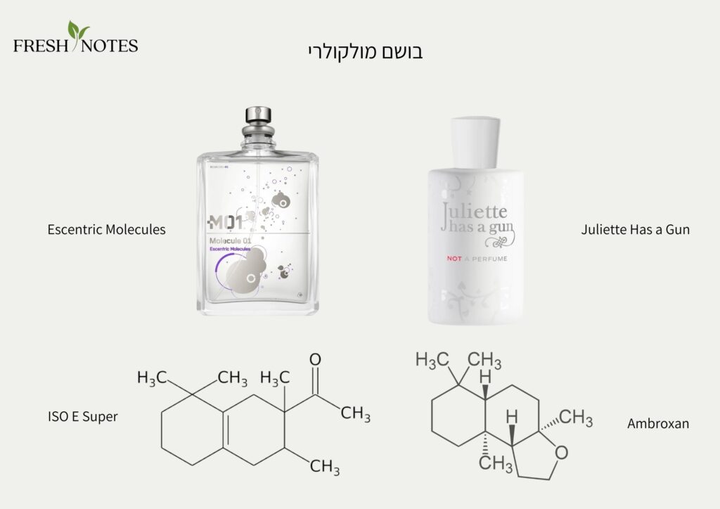 המחשה של מולקולת בושם