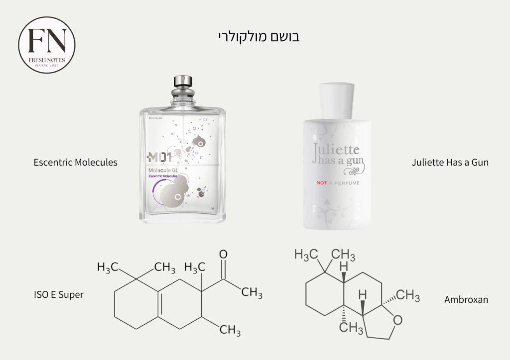 המחשה של מולקולת בושם