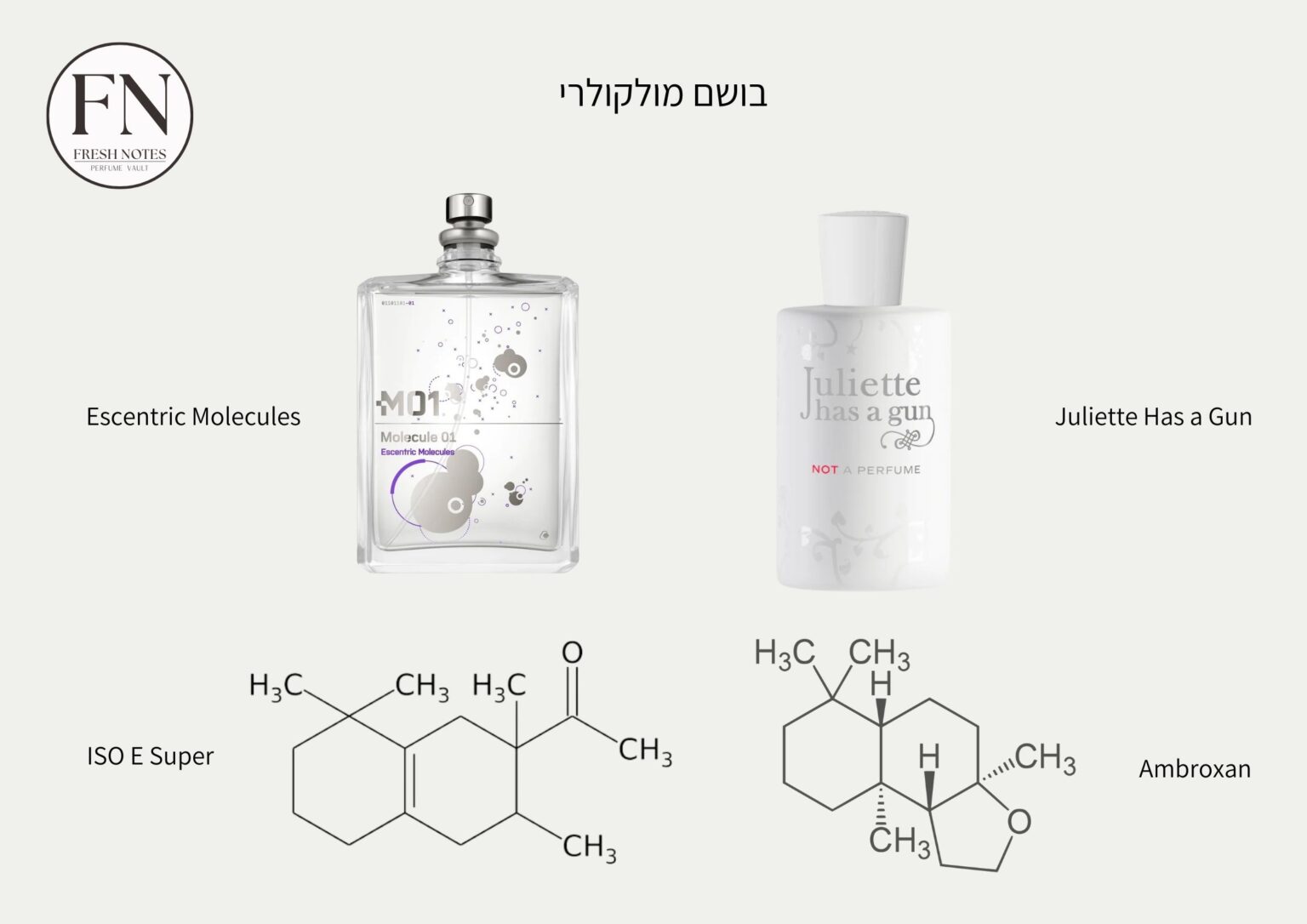 Fresh Notes מהו בושם מולקולרי ואיך הוא שינה את עולם הבישום? - Fresh Notes