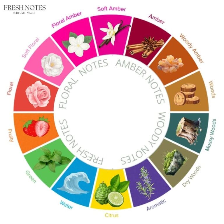Fresh Notes המדריך השלם למשפחות הריח – כך תבחרו את הבושם שמתאים לכם - Fresh Notes